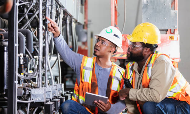 Best Electrician for Home Renovation  in Hoffman Estates, IL